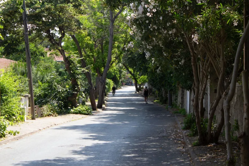 Your Doctor Might Recommend Moving Here: The Science Linking Neighborhood Design to Better Health